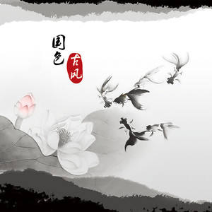 暗香盈袖 (琵琶曲)封面
