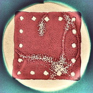 Dust Breeding (feat. Don Aliquo & Sam Bryson)