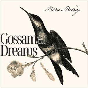 Gossamer Dreams (Whispered Jazz Tales, Piano)