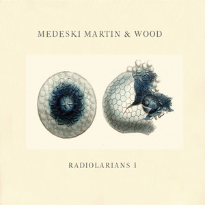 Radiolarians 1