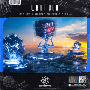 Want You (Extended Mix)