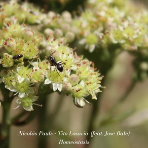 Homeóstasis(feat. Jose Bale)