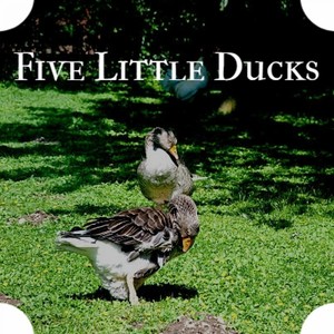 Five Little Ducks