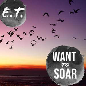 Want to soar