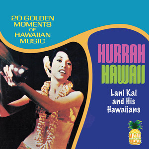Hawaiian Guitars
