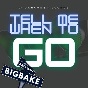 Tell Me When To Go(feat. Bfb Da Packman) (Explicit)