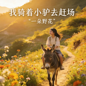 我骑小驴去赶场封面