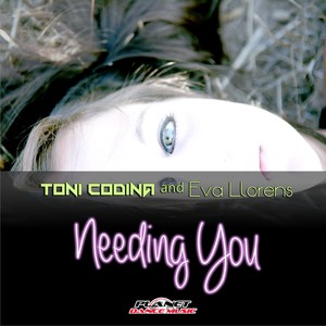 Needing You (Extended Mix)