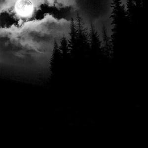 kaaikin - crumble (Explicit)