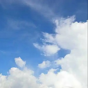 想某人 (科目三)