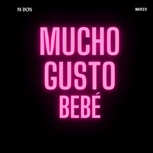 Mucho Gusto Bebe´