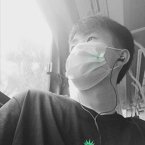 二琵胡琶