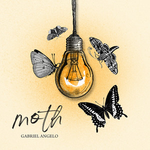 Moth