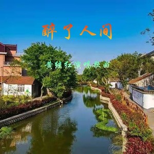 黄继红 - 醉了人间