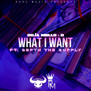 What I Want (feat. Sepyh The Supply) [Explicit]