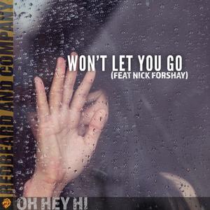 Won't Let You Go (feat. Nick Forshay)