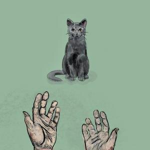 Pick Up The Cat (Explicit)