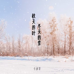 秋天的叶 冬天的雪