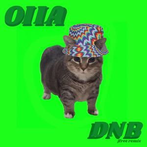 OIIA CAT dnb ver.