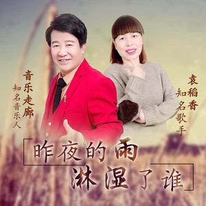 昨夜的雨淋湿了谁