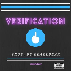 Verification (Explicit)