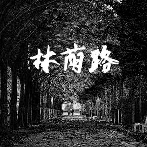 林荫路 伴奏