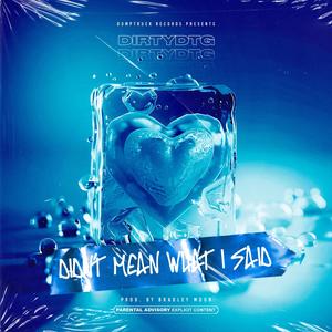 DirtyDTG - Didn't Mean What i Said (Explicit)