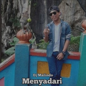 Menyadari