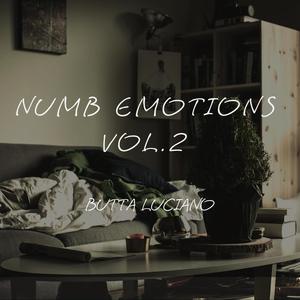 Numb Emotions, Vol. 2 (Explicit)