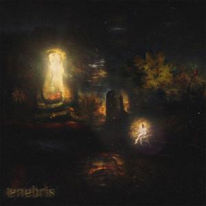 tenebris