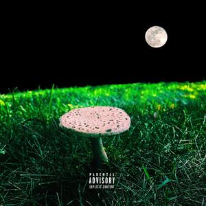 Cold Night (Explicit)