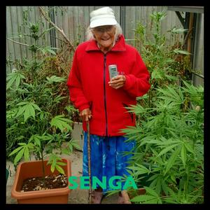 SENGA - Ruins of silence