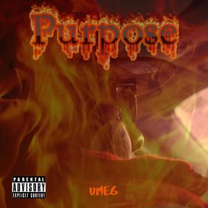Umeg - Purpose (Explicit)