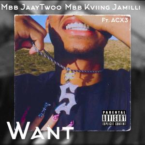 Want (feat. MBB Kviing Jamilli & ACX3) [Explicit]