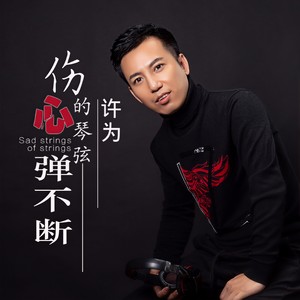 伤心的琴弦弹不断
