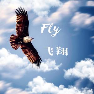 Fly 飞翔