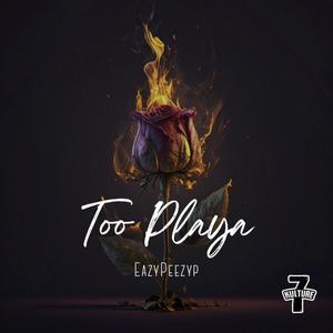 Too Playa (Explicit)