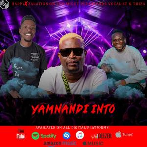 Yamnandi into (feat. Happyzah, Peterson De vocalist & Thiza) (Explicit)