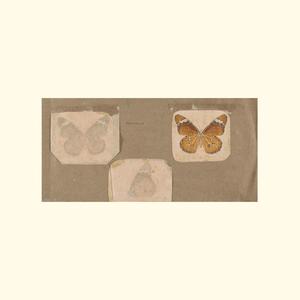 outro (feat. Dana Collyd)