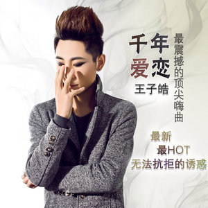 爱的魔法师封面