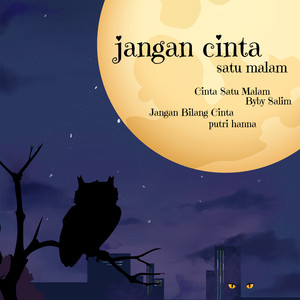 Jangan Cinta Satu Malam