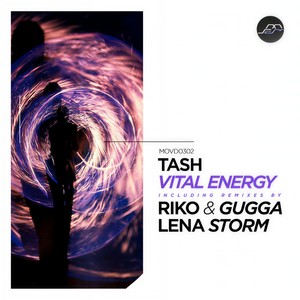 Point of No Return (Lena Storm Remix)