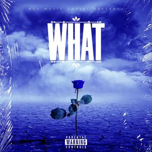 What (Explicit)