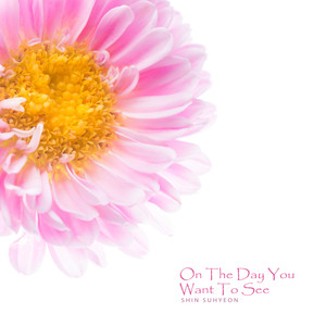 네가 보고 싶은 날에는 (On The Day You Want To See)