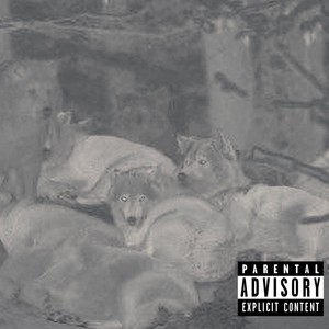 Wolves (feat. Q.Foe) [Explicit]