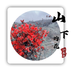 山下的花 (伴奏)