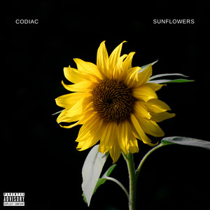 Sunflowers (Explicit)