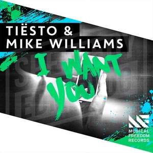 I Want You - Tiësto、Mike Williams封面