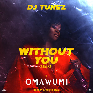 Without You Remix (Remix)