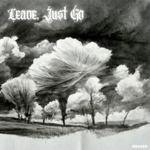 Leave, Just Go